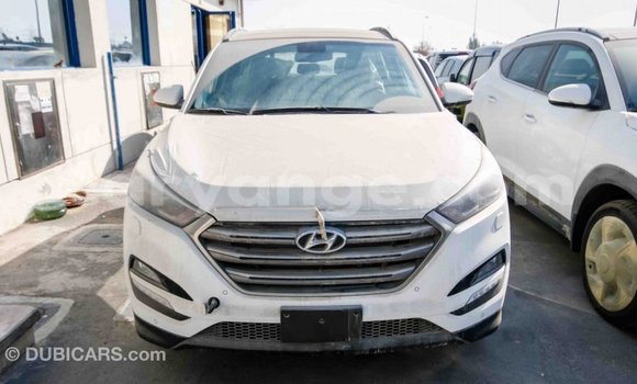 Acheter Import Voiture Hyundai Tucson Blanc à Import - Dubai, Namibie Acheter Import Voiture Hyundai Tucson Blanc à Import - Dubai, Namibie