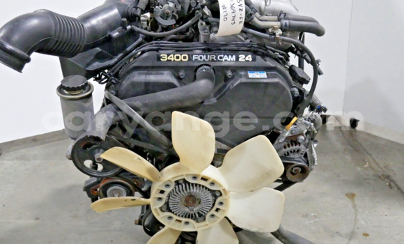 Buy Toyota Tacoma, 4Runner in Windhoek in Namibia Buy Toyota Tacoma, 4Runner in Windhoek in Namibia