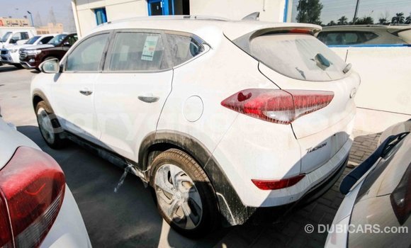 Acheter Import Voiture Hyundai Tucson Blanc à Import - Dubai, Namibie Acheter Import Voiture Hyundai Tucson Blanc à Import - Dubai, Namibie