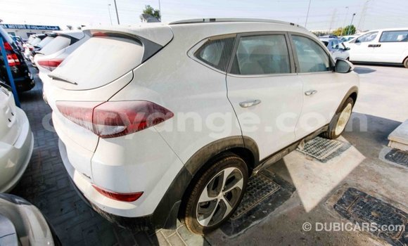 Acheter Import Voiture Hyundai Tucson Blanc à Import - Dubai, Namibie Acheter Import Voiture Hyundai Tucson Blanc à Import - Dubai, Namibie