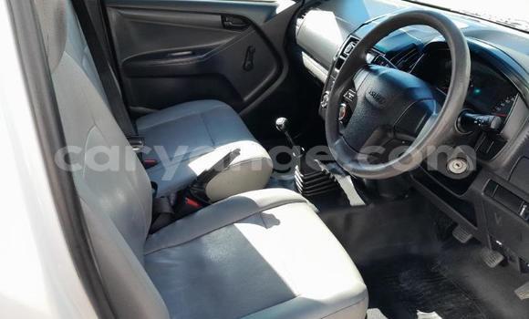 Buy Used Isuzu KB White Car in Windhoek in Namibia Buy Used Isuzu KB White Car in Windhoek in Namibia