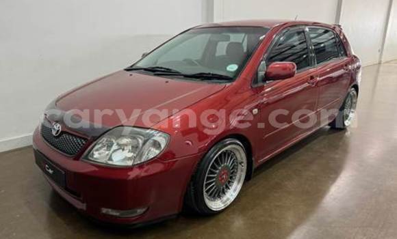 Buy Used Toyota Runx Red Car in Windhoek in Namibia