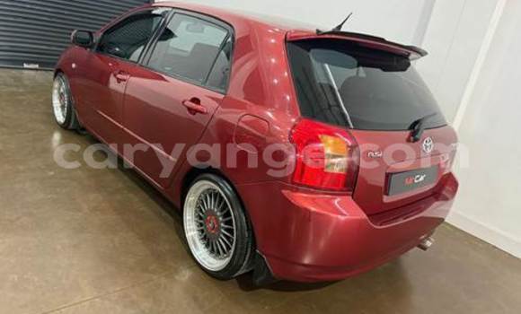 Buy Used Toyota Runx Red Car in Windhoek in Namibia Buy Used Toyota Runx Red Car in Windhoek in Namibia