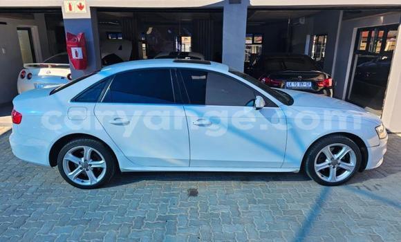 Buy Used Audi A4 White Car in Windhoek in Namibia Buy Used Audi A4 White Car in Windhoek in Namibia