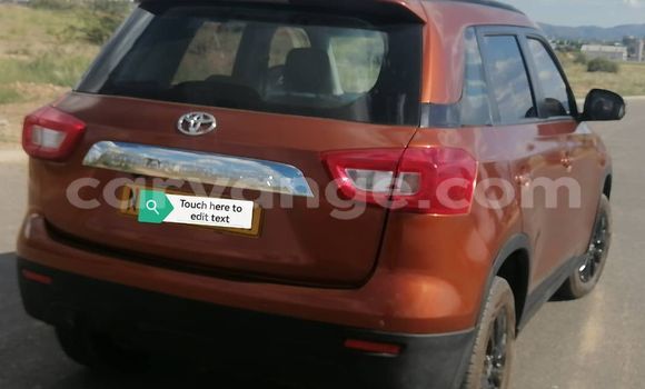 Buy Used Toyota Urban Cruiser Brown Car in Windhoek in Namibia Buy Used Toyota Urban Cruiser Brown Car in Windhoek in Namibia