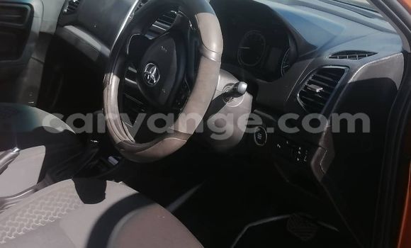 Buy Used Toyota Urban Cruiser Brown Car in Windhoek in Namibia Buy Used Toyota Urban Cruiser Brown Car in Windhoek in Namibia