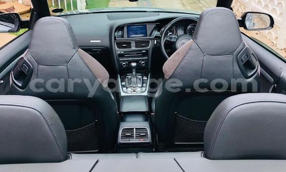 Buy Used Audi RS5 Other Car in Gobabis in Omaheke Buy Used Audi RS5 Other Car in Gobabis in Omaheke