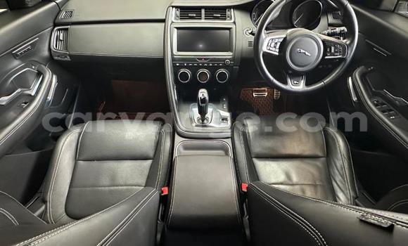 Buy Used Jaguar E-Pace White Car in Gobabis in Omaheke Buy Used Jaguar E-Pace White Car in Gobabis in Omaheke