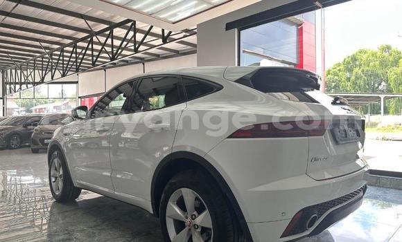 Buy Used Jaguar E-Pace White Car in Gobabis in Omaheke Buy Used Jaguar E-Pace White Car in Gobabis in Omaheke