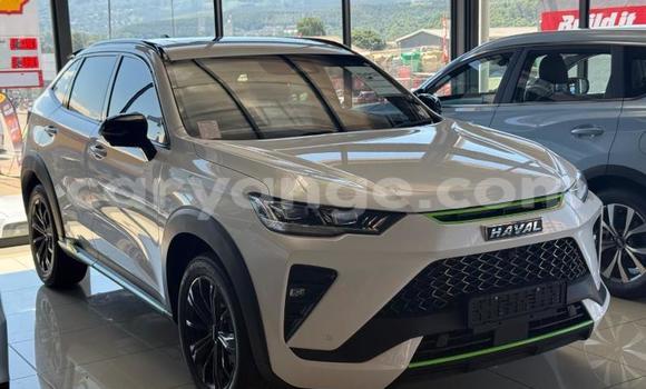 Buy Used Haval H6 White Car in Gobabis in Omaheke