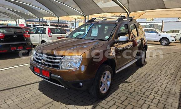 Buy Used Renault Duster Other Car in Windhoek in Namibia Buy Used Renault Duster Other Car in Windhoek in Namibia