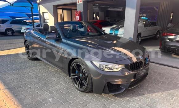 Buy Used BMW M4 Other Car in Windhoek in Namibia Buy Used BMW M4 Other Car in Windhoek in Namibia