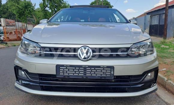 Buy Used Volkswagen Polo Silver Car in Windhoek in Namibia Buy Used Volkswagen Polo Silver Car in Windhoek in Namibia