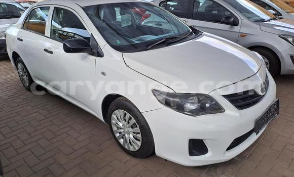 Buy Used Toyota Corolla White Car in Windhoek in Namibia Buy Used Toyota Corolla White Car in Windhoek in Namibia