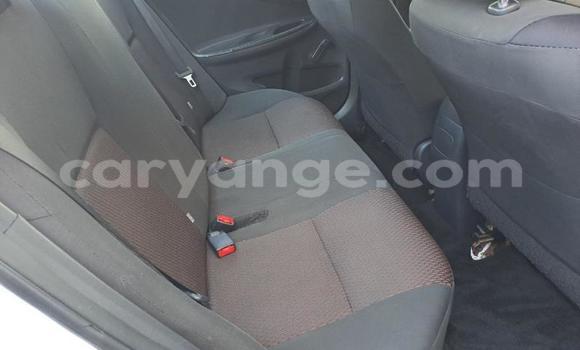 Buy Used Toyota Corolla White Car in Windhoek in Namibia Buy Used Toyota Corolla White Car in Windhoek in Namibia
