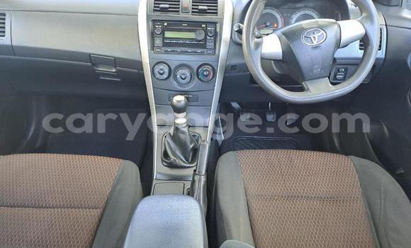 Buy Used Toyota Corolla White Car in Windhoek in Namibia Buy Used Toyota Corolla White Car in Windhoek in Namibia