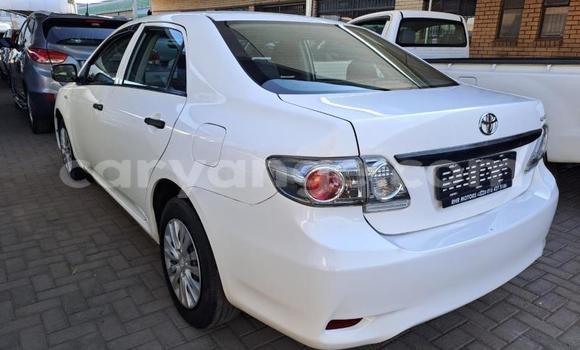 Buy Used Toyota Corolla White Car in Windhoek in Namibia Buy Used Toyota Corolla White Car in Windhoek in Namibia