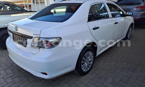 Buy Used Toyota Corolla White Car in Windhoek in Namibia Buy Used Toyota Corolla White Car in Windhoek in Namibia