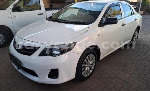 Buy Used Toyota Corolla White Car in Windhoek in Namibia Buy Used Toyota Corolla White Car in Windhoek in Namibia