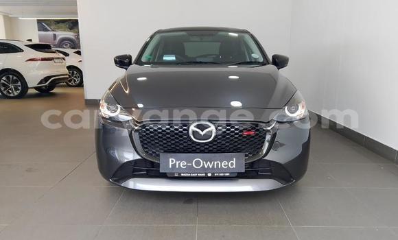 Buy Used Mazda 2 Brown Car in Windhoek in Namibia Buy Used Mazda 2 Brown Car in Windhoek in Namibia
