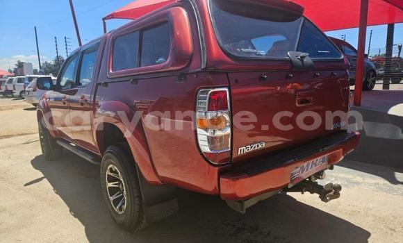 Buy Used Mazda BT-50 Red Car in Windhoek in Namibia Buy Used Mazda BT-50 Red Car in Windhoek in Namibia