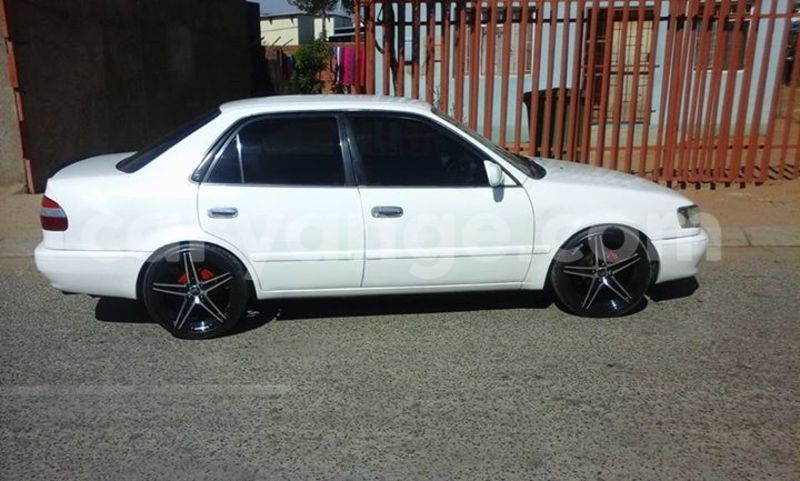 Big with watermark 13620066 165688343844996 5176561678571208974 n