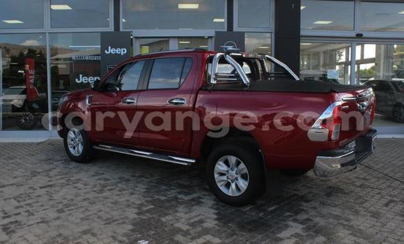 Buy Used Toyota Hilux Red Car in Windhoek in Namibia Buy Used Toyota Hilux Red Car in Windhoek in Namibia