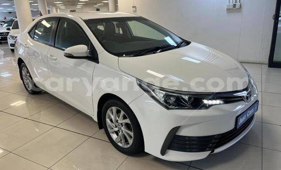 Buy Used Toyota Corolla White Car in Windhoek in Namibia Buy Used Toyota Corolla White Car in Windhoek in Namibia