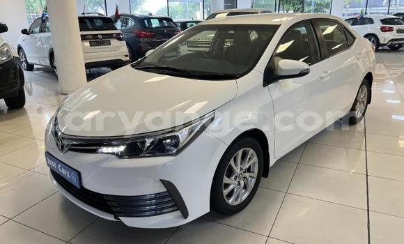 Buy Used Toyota Corolla White Car in Windhoek in Namibia Buy Used Toyota Corolla White Car in Windhoek in Namibia