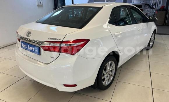Buy Used Toyota Corolla White Car in Windhoek in Namibia Buy Used Toyota Corolla White Car in Windhoek in Namibia