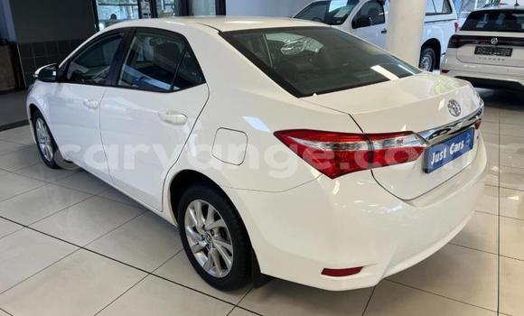 Buy Used Toyota Corolla White Car in Windhoek in Namibia Buy Used Toyota Corolla White Car in Windhoek in Namibia
