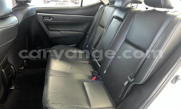 Buy Used Toyota Corolla White Car in Windhoek in Namibia Buy Used Toyota Corolla White Car in Windhoek in Namibia