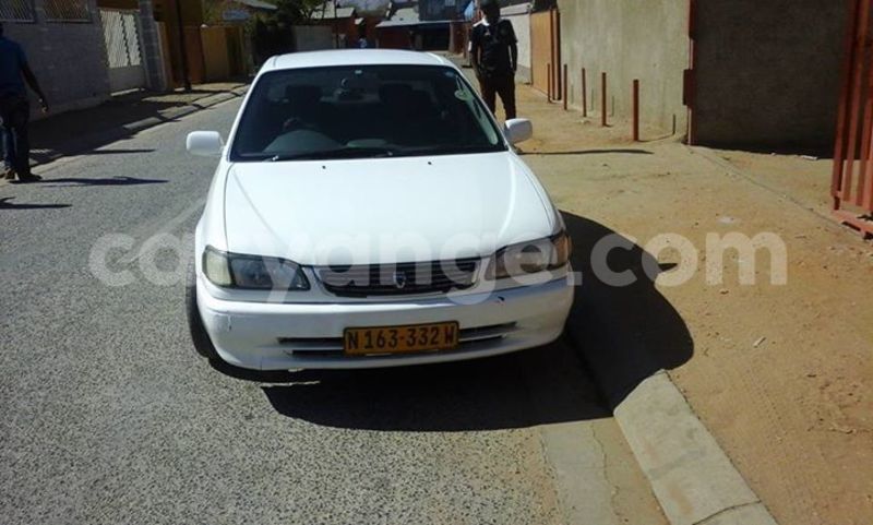 Big with watermark 13626624 165688367178327 2918301621227567784 n