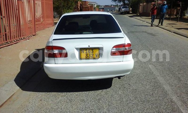 Big with watermark 13592696 165688387178325 6765309054270104765 n