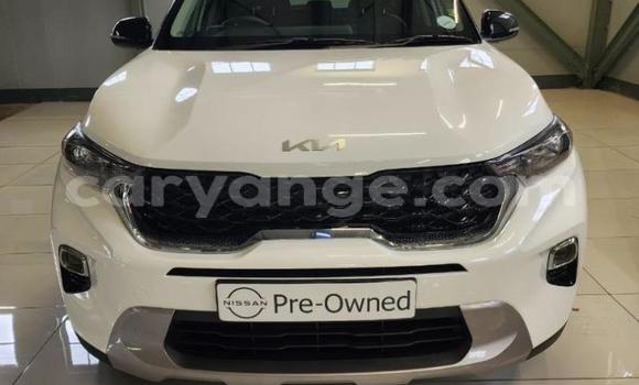 Buy Used Kia Sorento White Car in Gobabis in Omaheke