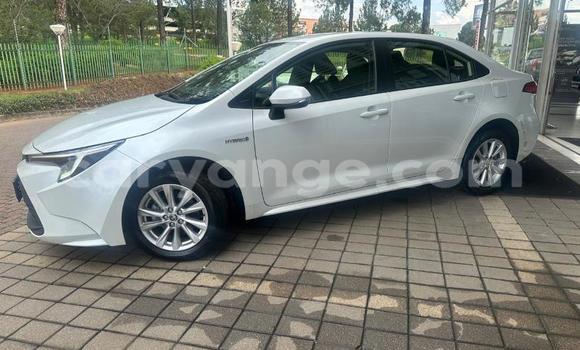 Buy Used Toyota Corolla White Car in Windhoek in Namibia Buy Used Toyota Corolla White Car in Windhoek in Namibia