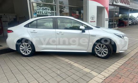 Buy Used Toyota Corolla White Car in Windhoek in Namibia Buy Used Toyota Corolla White Car in Windhoek in Namibia