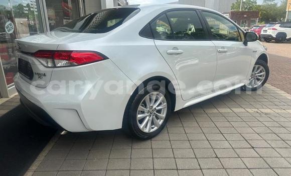Buy Used Toyota Corolla White Car in Windhoek in Namibia Buy Used Toyota Corolla White Car in Windhoek in Namibia