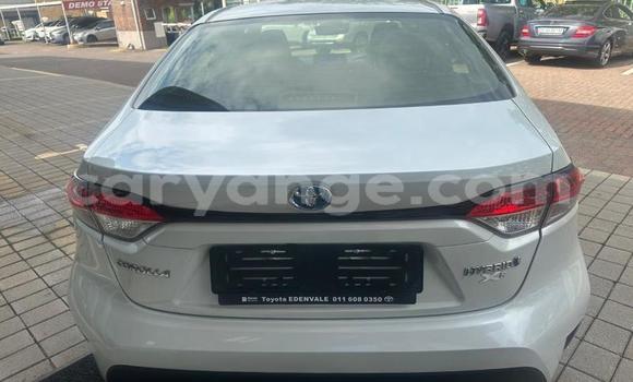 Buy Used Toyota Corolla White Car in Windhoek in Namibia Buy Used Toyota Corolla White Car in Windhoek in Namibia