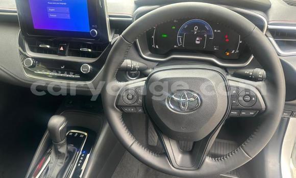 Buy Used Toyota Corolla White Car in Windhoek in Namibia Buy Used Toyota Corolla White Car in Windhoek in Namibia