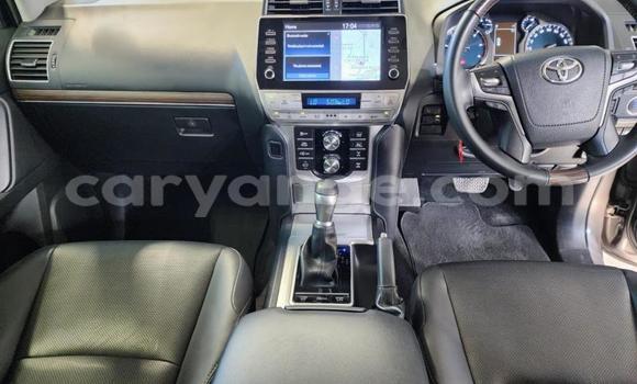 Buy Used Toyota Land Cruiser Prado Other Car in Gobabis in Omaheke Buy Used Toyota Land Cruiser Prado Other Car in Gobabis in Omaheke