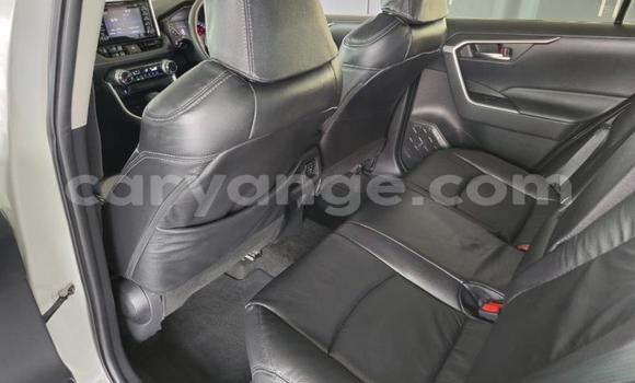 Acheter Occasion Voiture Toyota RAV4 Blanc à Gobabis, Omaheke Acheter Occasion Voiture Toyota RAV4 Blanc à Gobabis, Omaheke