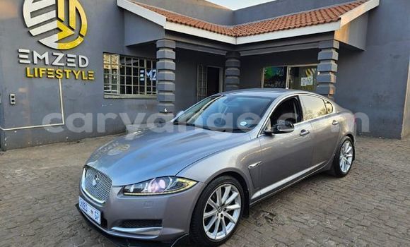 Buy Used Jaguar XF Silver Car in Windhoek in Namibia