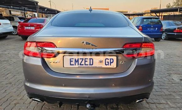 Buy Used Jaguar XF Silver Car in Windhoek in Namibia Buy Used Jaguar XF Silver Car in Windhoek in Namibia
