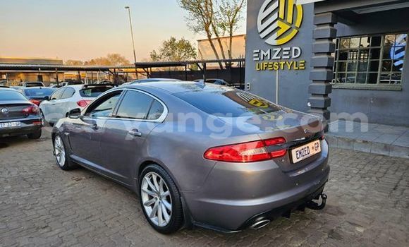 Buy Used Jaguar XF Silver Car in Windhoek in Namibia Buy Used Jaguar XF Silver Car in Windhoek in Namibia
