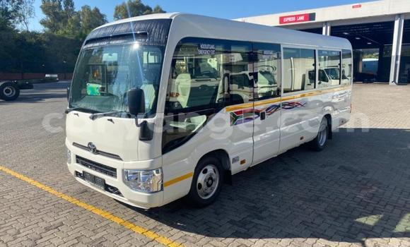 Buy Used Toyota Coaster White Car in Windhoek in Namibia