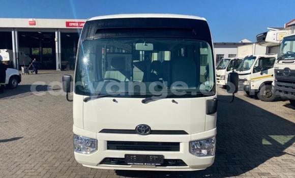 Buy Used Toyota Coaster White Car in Windhoek in Namibia Buy Used Toyota Coaster White Car in Windhoek in Namibia
