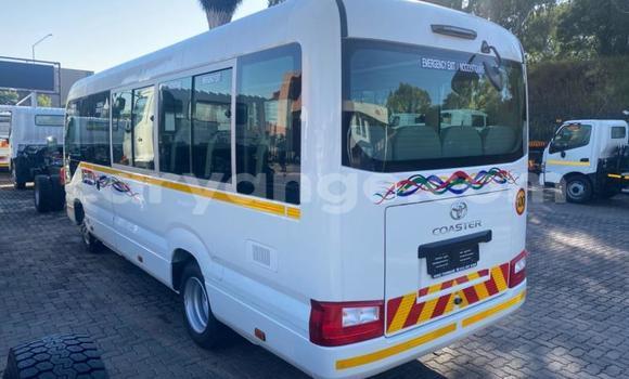 Buy Used Toyota Coaster White Car in Windhoek in Namibia Buy Used Toyota Coaster White Car in Windhoek in Namibia