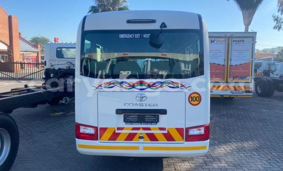 Buy Used Toyota Coaster White Car in Windhoek in Namibia Buy Used Toyota Coaster White Car in Windhoek in Namibia