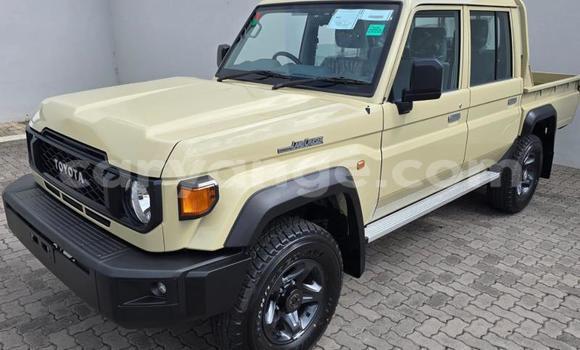 Buy Used Toyota Land Cruiser Other Car in Windhoek in Namibia